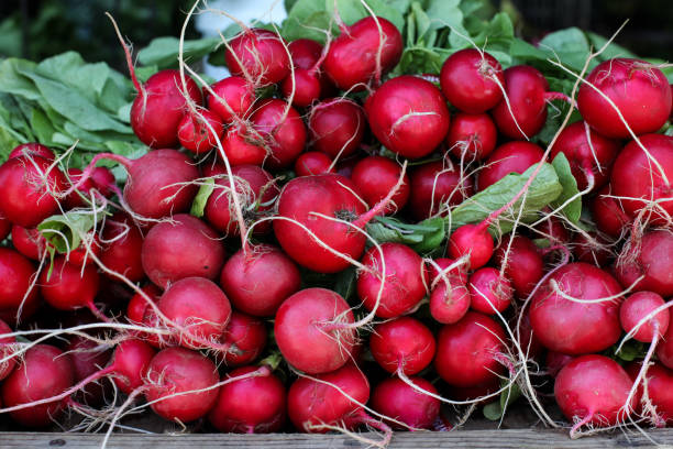 Turnips